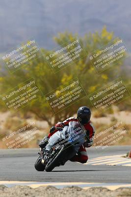 media/Apr-10-2022-SoCal Trackdays (Sun) [[f104b12566]]/Turn 5 Tree of Life (1040am)/